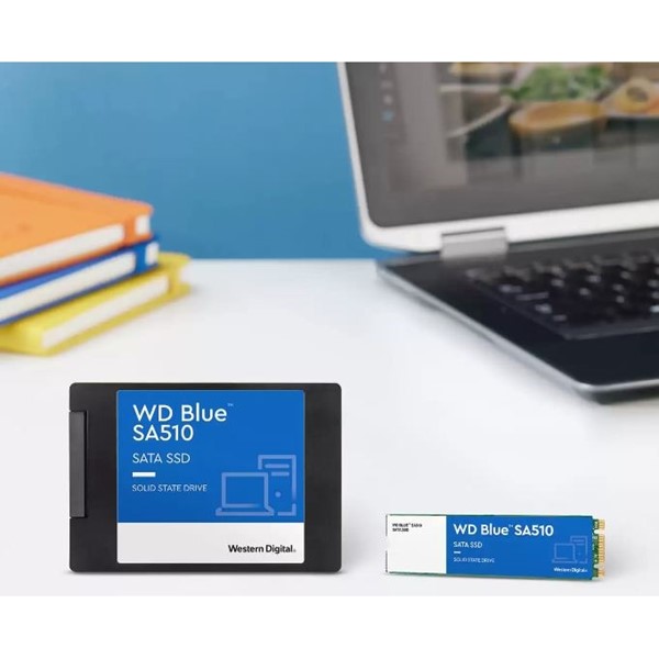 WD 500GB BLUE WDS500G3B0A 560-510MB/s SATA-3 DİSK